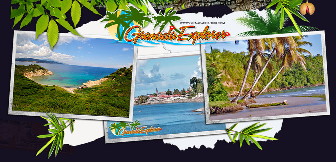 Grenada Explorer Travel Guide