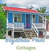 Bayaleau Point Cottages