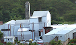 Clarke's Court Sugar Factory