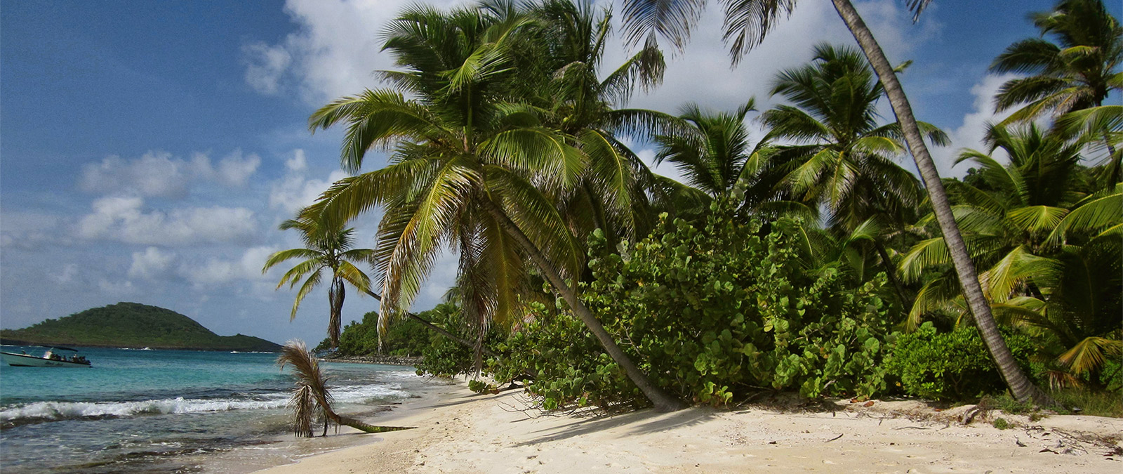 Best Caribbean Beaches in Grenada West Indies