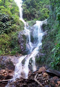 Tufton Hall Waterfall