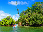 Grenada Water Sports Kayaking