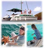 Grenada Water Sports Sailing