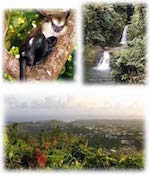 Sightseeing in Grenada